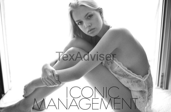 Iconic Management