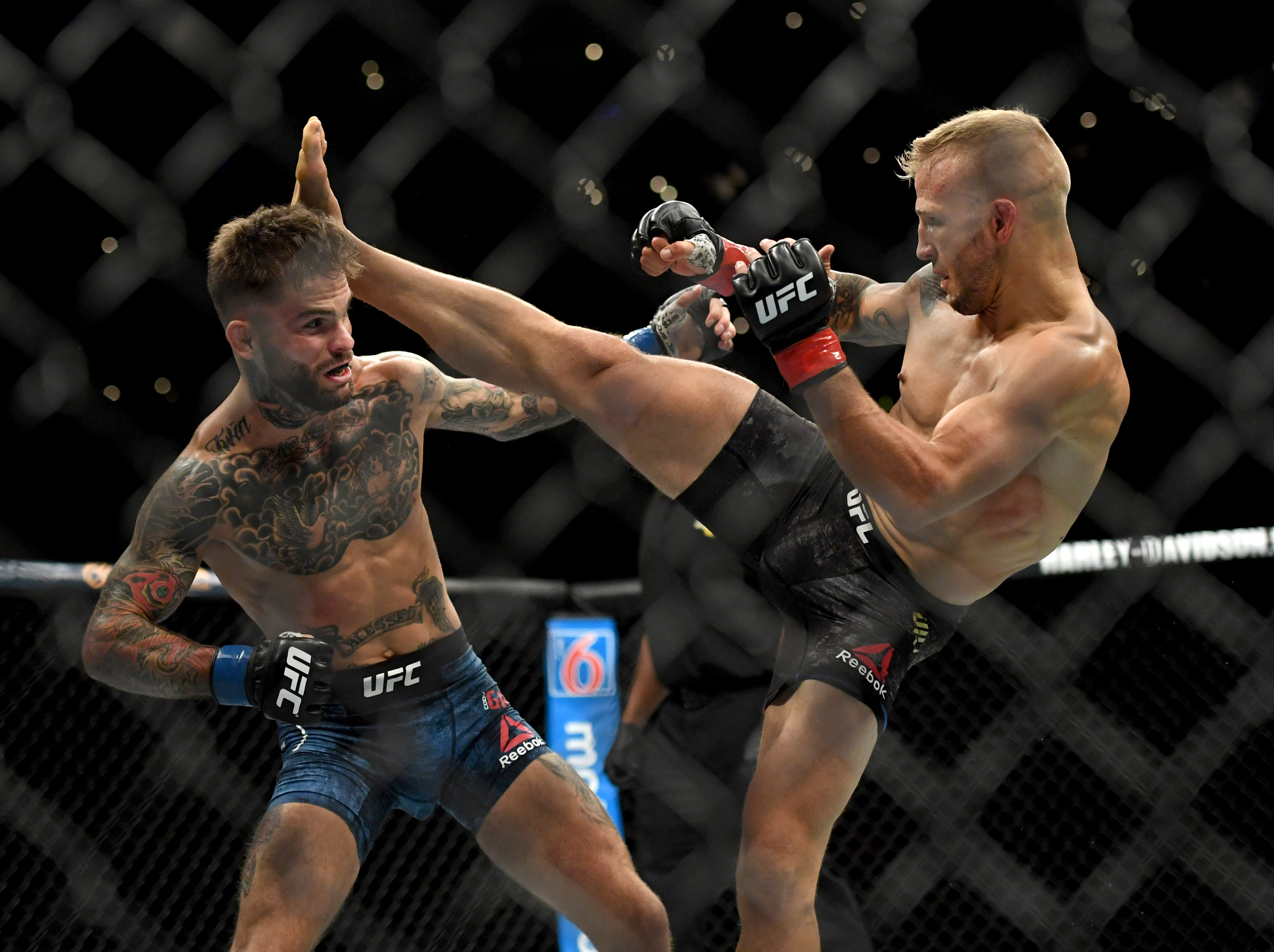 UFC News: T. J. Dillashaw told how the knee surgery went and when he will return to the octagon